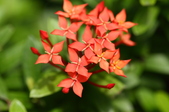 Enlarge photo 16