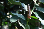 Enlarge photo 26
