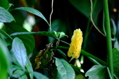 Enlarge photo 27