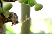 Enlarge photo 29