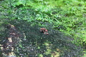 Enlarge photo 35