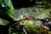 Enlarge photo 37