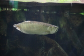 Enlarge photo 42