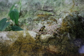 Enlarge photo 49