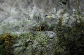 Enlarge photo 57