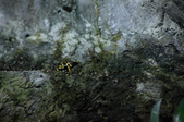 Enlarge photo 58