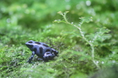 Enlarge photo 63