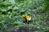 Enlarge photo 67