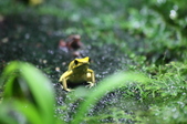 Enlarge photo 68