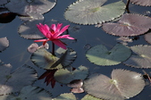 Enlarge photo 77