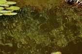 Enlarge photo 78