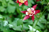 Enlarge photo 24