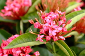 Enlarge photo 25
