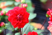 Enlarge photo 28