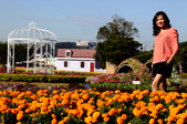Enlarge photo 34