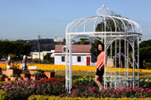 Enlarge photo 37