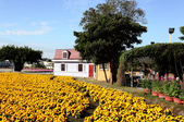 Enlarge photo 49