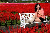 Enlarge photo 52