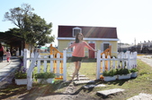 Enlarge photo 53