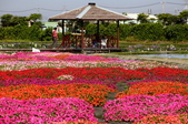 Enlarge photo 65