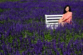 Enlarge photo 68