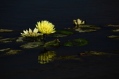 Enlarge photo 79