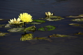 Enlarge photo 80