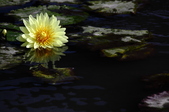 Enlarge photo 82