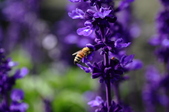 Enlarge photo 94