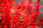 Enlarge photo 113