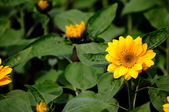 Enlarge photo 120