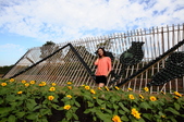 Enlarge photo 122