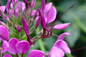 Enlarge photo 144