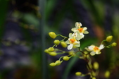 Enlarge photo 150