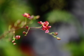 Enlarge photo 155