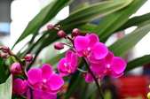 Enlarge photo 157