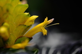 Enlarge photo 173