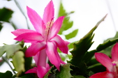 Enlarge photo 182