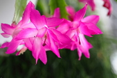 Enlarge photo 187