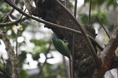 Enlarge photo 66