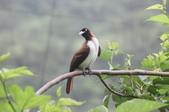 Enlarge photo 28