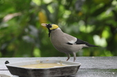 Enlarge photo 36