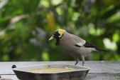 Enlarge photo 37