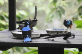 Enlarge photo 38