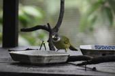Enlarge photo 39