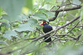 Enlarge photo 43