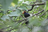 Enlarge photo 46