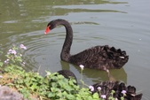 Enlarge photo 57