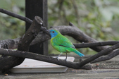 Enlarge photo 3