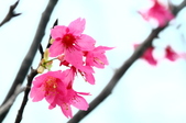 Enlarge photo 34